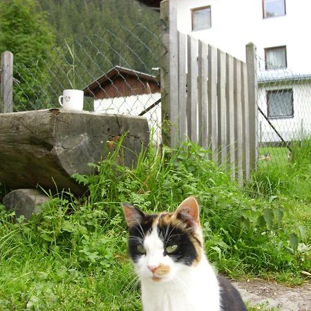 Seer Hof Hotel Kaunertal Buitenkant foto