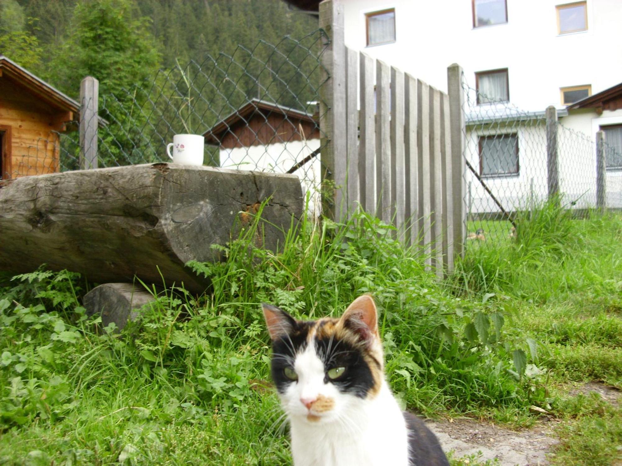 Seer Hof Hotel Kaunertal Buitenkant foto